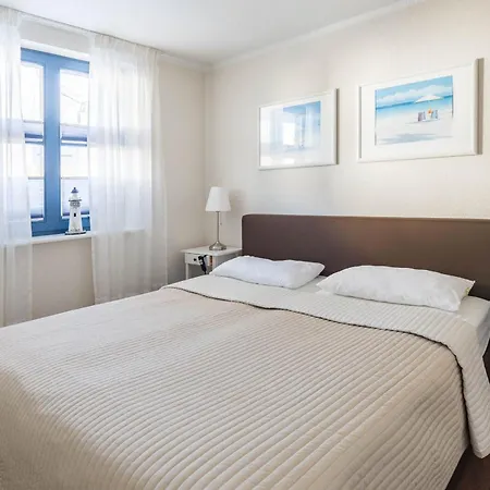 Papillon 8-3 Auszeit بولتينهاجين