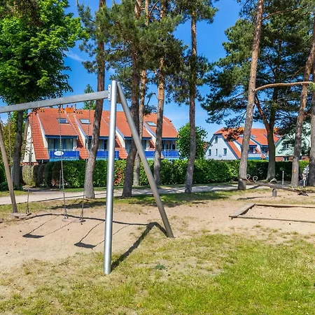 Papillon 8-3 Auszeit بولتينهاجين