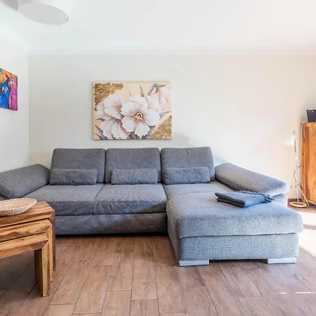 Papillon 8-3 Auszeit