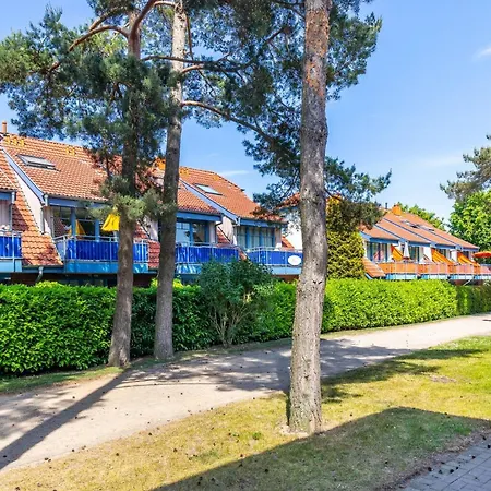 Papillon 8-3 Auszeit