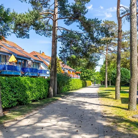 Apartment Papillon 8-3 Auszeit Boltenhagen